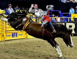 O’Connell Ready for a Fun WNFR