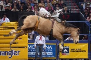 2022 NFR 06 Cole Franks