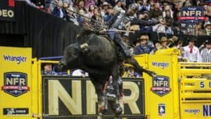 Bull rider Reid Oftedahl out of 2022 NFR