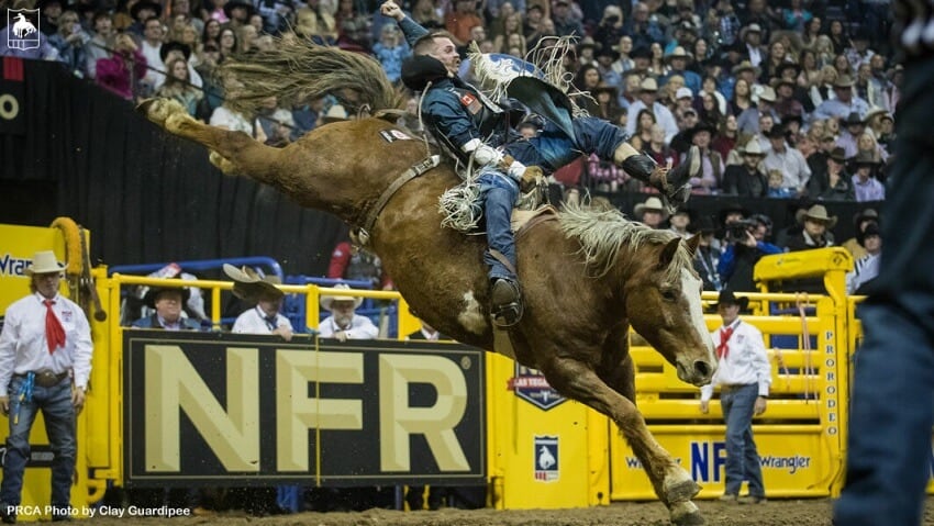 Orin Larsen NFR Injury