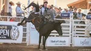 WebPelke Nick NFR Open 2023