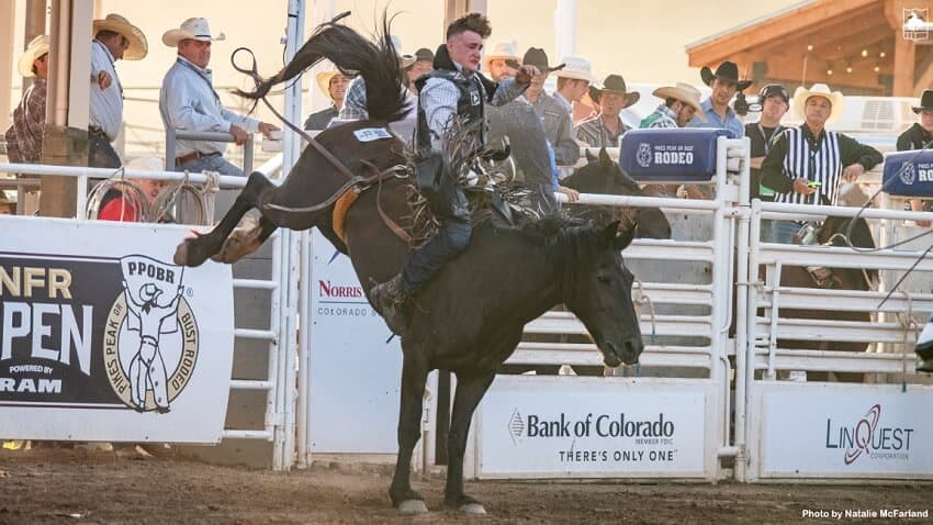 WebPelke Nick NFR Open 2023