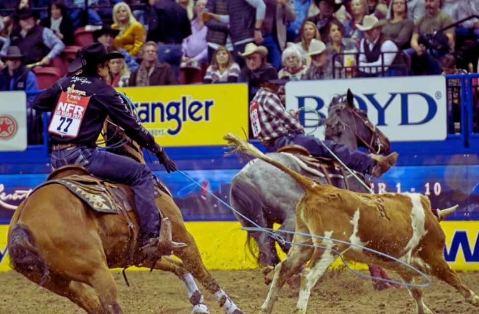 Team roping action at the National Finals Rodeo